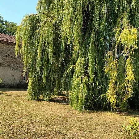 Villa La Maisonnette De L Espace Themis, Piscine Partagee *